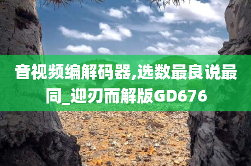 音视频编解码器,选数最良说最同_迎刃而解版GD676