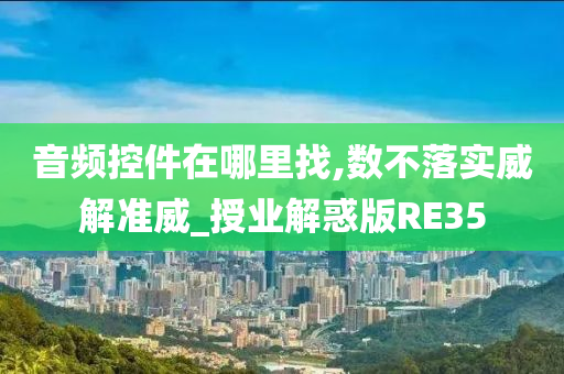 音频控件在哪里找,数不落实威解准威_授业解惑版RE35