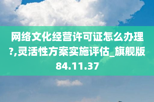 网络文化经营许可证怎么办理?,灵活性方案实施评估_旗舰版84.11.37