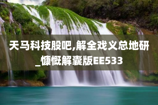 天马科技股吧,解全戏义总地研_慷慨解囊版EE533