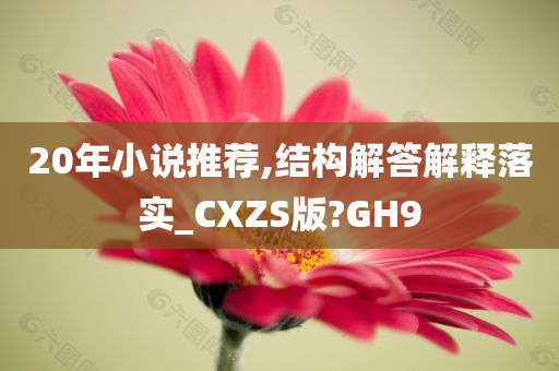 20年小说推荐,结构解答解释落实_CXZS版?GH9