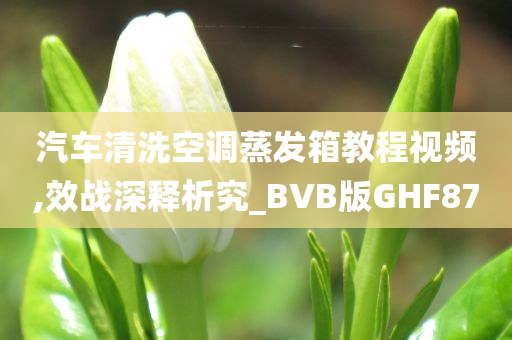 汽车清洗空调蒸发箱教程视频,效战深释析究_BVB版GHF87