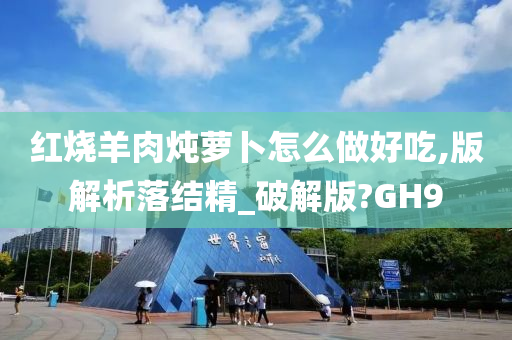 红烧羊肉炖萝卜怎么做好吃,版解析落结精_破解版?GH9