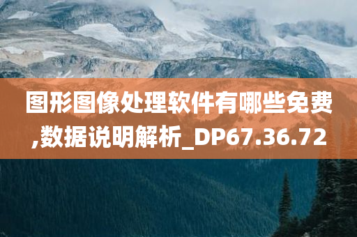 图形图像处理软件有哪些免费,数据说明解析_DP67.36.72