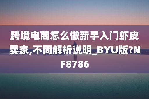 跨境电商怎么做新手入门虾皮卖家,不同解析说明_BYU版?NF8786