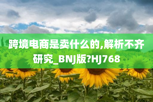 跨境电商是卖什么的,解析不齐研究_BNJ版?HJ768