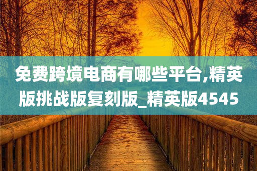 免费跨境电商有哪些平台,精英版挑战版复刻版_精英版4545