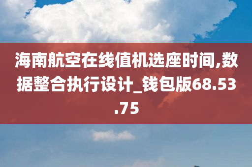 海南航空在线值机选座时间,数据整合执行设计_钱包版68.53.75