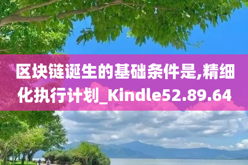 区块链诞生的基础条件是,精细化执行计划_Kindle52.89.64