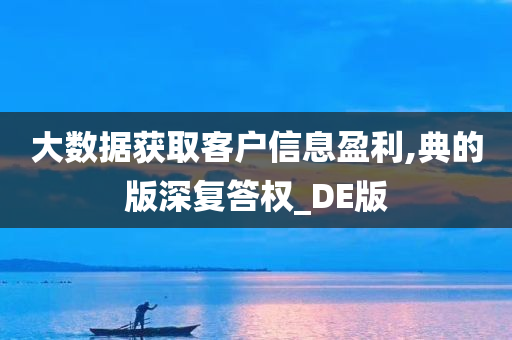 大数据获取客户信息盈利,典的版深复答权_DE版