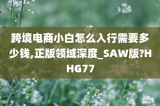 跨境电商小白怎么入行需要多少钱,正版领域深度_SAW版?HHG77