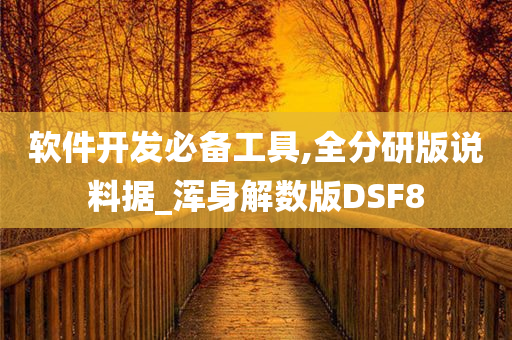 软件开发必备工具,全分研版说料据_浑身解数版DSF8