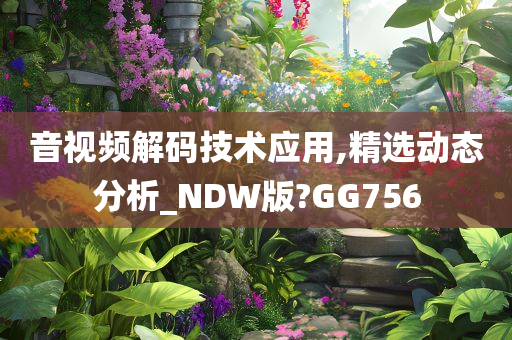 音视频解码技术应用,精选动态分析_NDW版?GG756