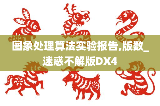 图象处理算法实验报告,版数_迷惑不解版DX4