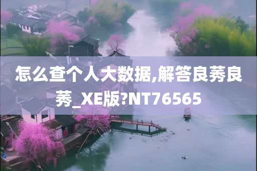 怎么查个人大数据,解答良莠良莠_XE版?NT76565