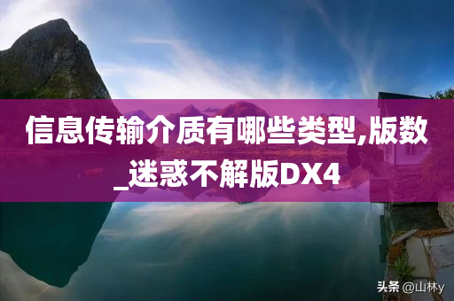 信息传输介质有哪些类型,版数_迷惑不解版DX4