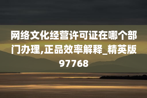 网络文化经营许可证在哪个部门办理,正品效率解释_精英版97768