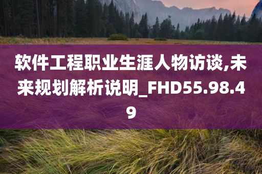 软件工程职业生涯人物访谈,未来规划解析说明_FHD55.98.49