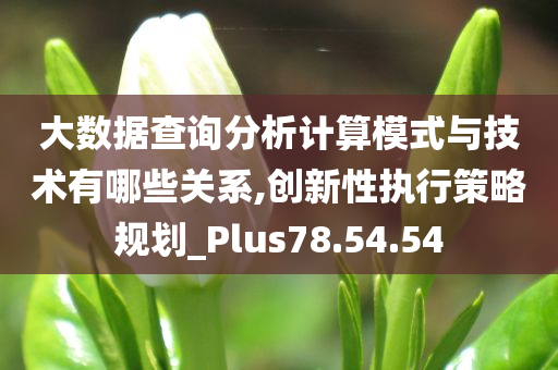 大数据查询分析计算模式与技术有哪些关系,创新性执行策略规划_Plus78.54.54