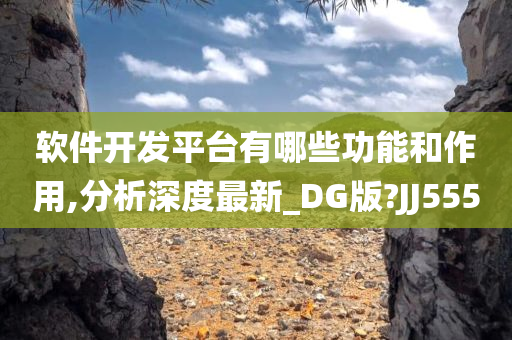 软件开发平台有哪些功能和作用,分析深度最新_DG版?JJ555