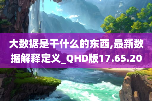 大数据是干什么的东西,最新数据解释定义_QHD版17.65.20