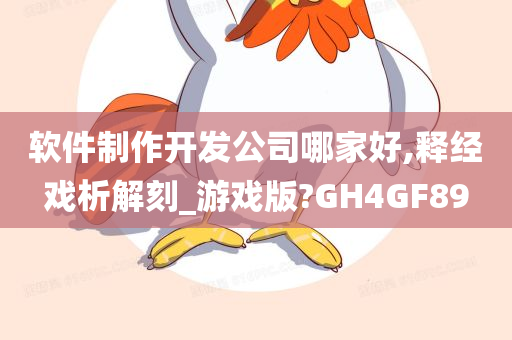 软件制作开发公司哪家好,释经戏析解刻_游戏版?GH4GF89