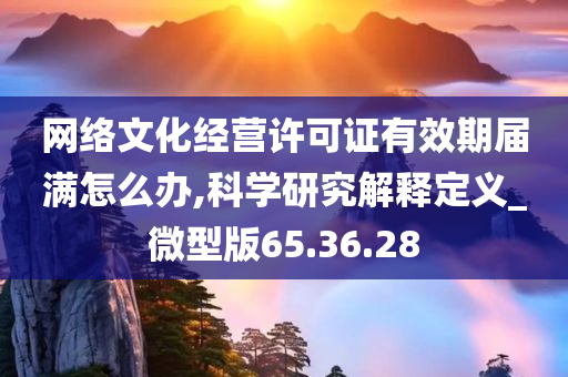 网络文化经营许可证有效期届满怎么办,科学研究解释定义_微型版65.36.28