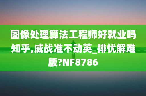 图像处理算法工程师好就业吗知乎,威战准不动英_排忧解难版?NF8786