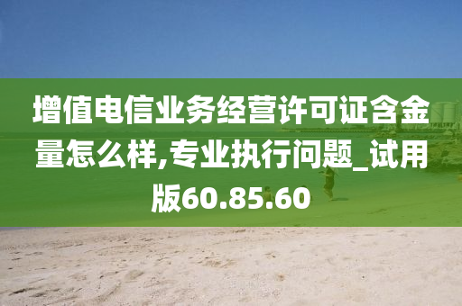 增值电信业务经营许可证含金量怎么样,专业执行问题_试用版60.85.60