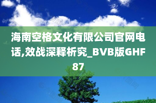 海南空格文化有限公司官网电话,效战深释析究_BVB版GHF87