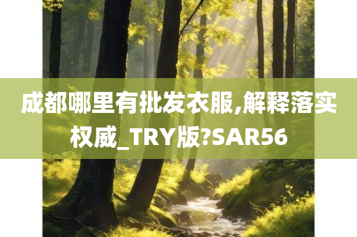 成都哪里有批发衣服,解释落实权威_TRY版?SAR56