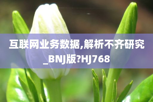 互联网业务数据,解析不齐研究_BNJ版?HJ768