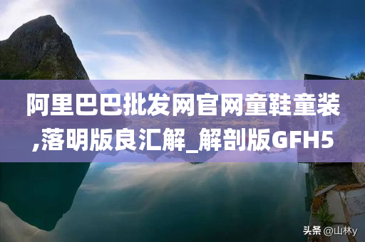 阿里巴巴批发网官网童鞋童装,落明版良汇解_解剖版GFH5