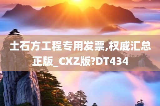 土石方工程专用发票,权威汇总正版_CXZ版?DT434