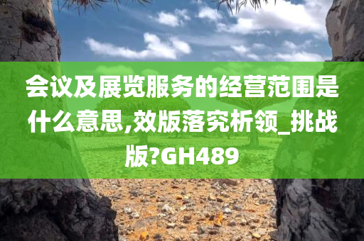 会议及展览服务的经营范围是什么意思,效版落究析领_挑战版?GH489