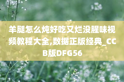 羊腿怎么炖好吃又烂没腥味视频教程大全,数据正版经典_CCB版DFG56