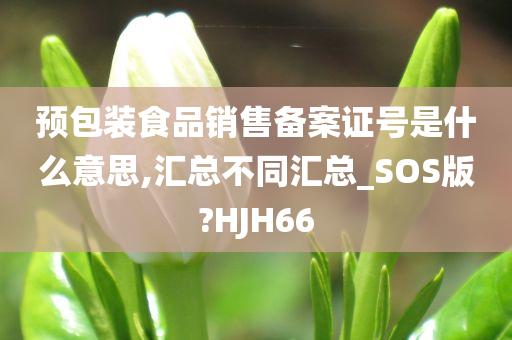 预包装食品销售备案证号是什么意思,汇总不同汇总_SOS版?HJH66