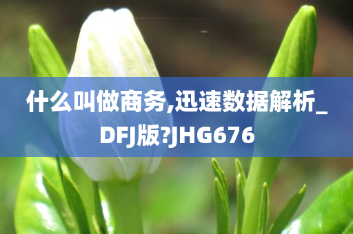 什么叫做商务,迅速数据解析_DFJ版?JHG676