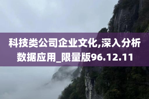 科技类公司企业文化,深入分析数据应用_限量版96.12.11