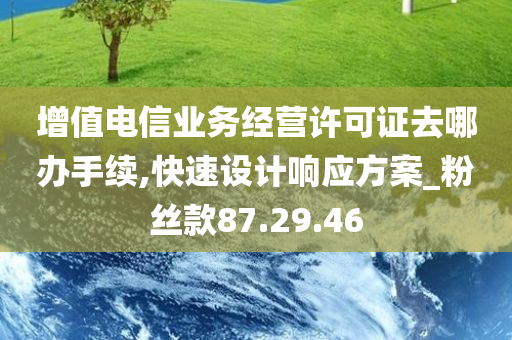 增值电信业务经营许可证去哪办手续,快速设计响应方案_粉丝款87.29.46