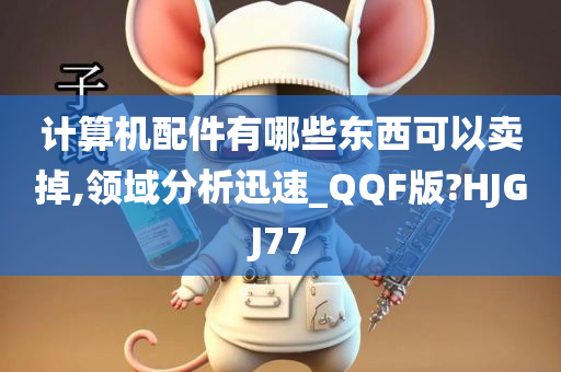 计算机配件有哪些东西可以卖掉,领域分析迅速_QQF版?HJGJ77