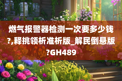 燃气报警器检测一次要多少钱?,释挑领析准析版_解民倒悬版?GH489