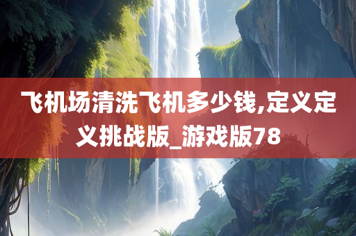 飞机场清洗飞机多少钱,定义定义挑战版_游戏版78