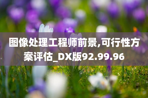 图像处理工程师前景,可行性方案评估_DX版92.99.96