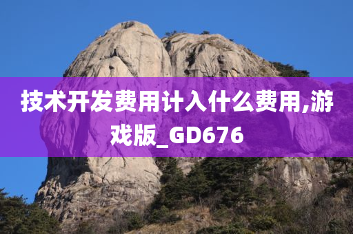 技术开发费用计入什么费用,游戏版_GD676