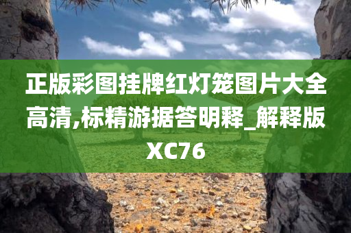 正版彩图挂牌红灯笼图片大全高清,标精游据答明释_解释版XC76