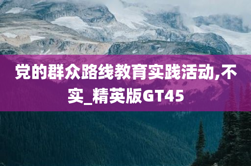 党的群众路线教育实践活动,不实_精英版GT45