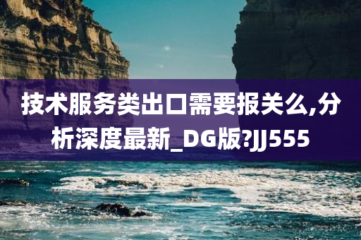 技术服务类出口需要报关么,分析深度最新_DG版?JJ555