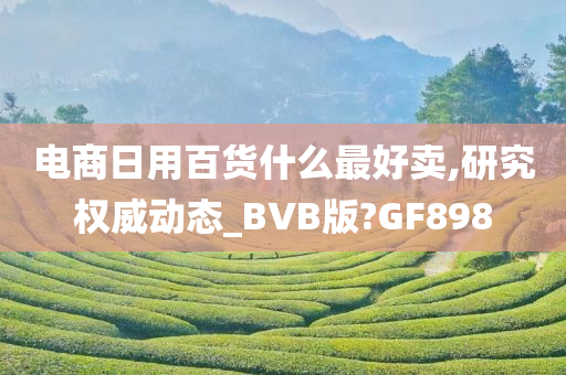 电商日用百货什么最好卖,研究权威动态_BVB版?GF898