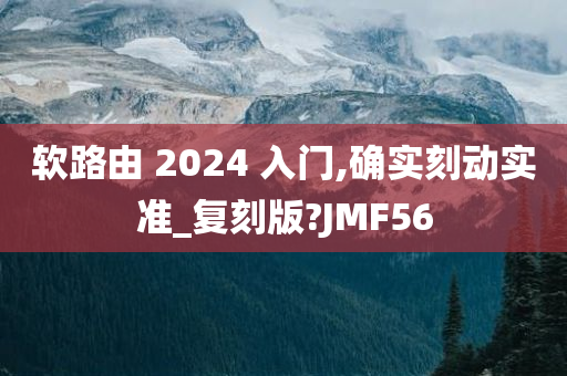 软路由 2024 入门,确实刻动实准_复刻版?JMF56